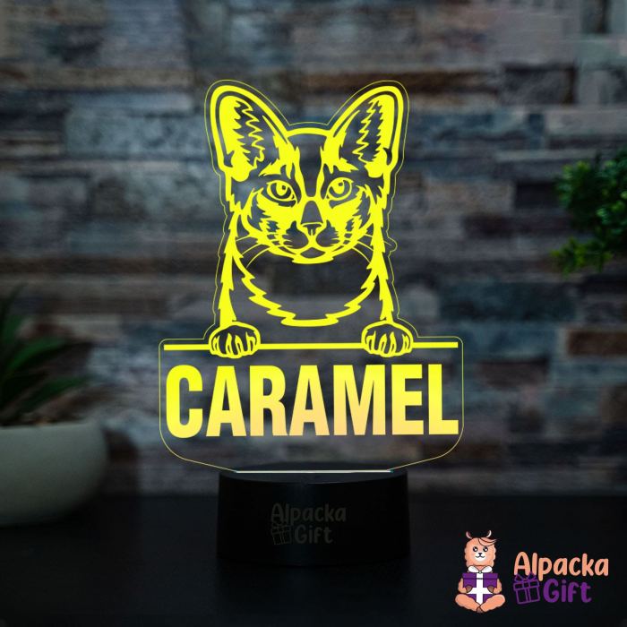 Lampă 3D - Longhair Shortcut [4]