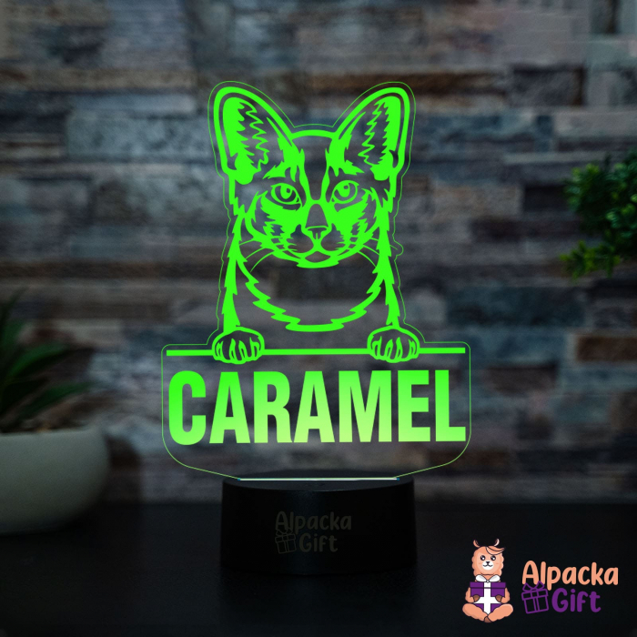 Lampă 3D - Longhair Shortcut [2]