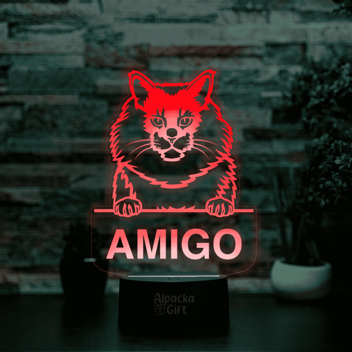 Lampă 3D - Maine Coon [5]