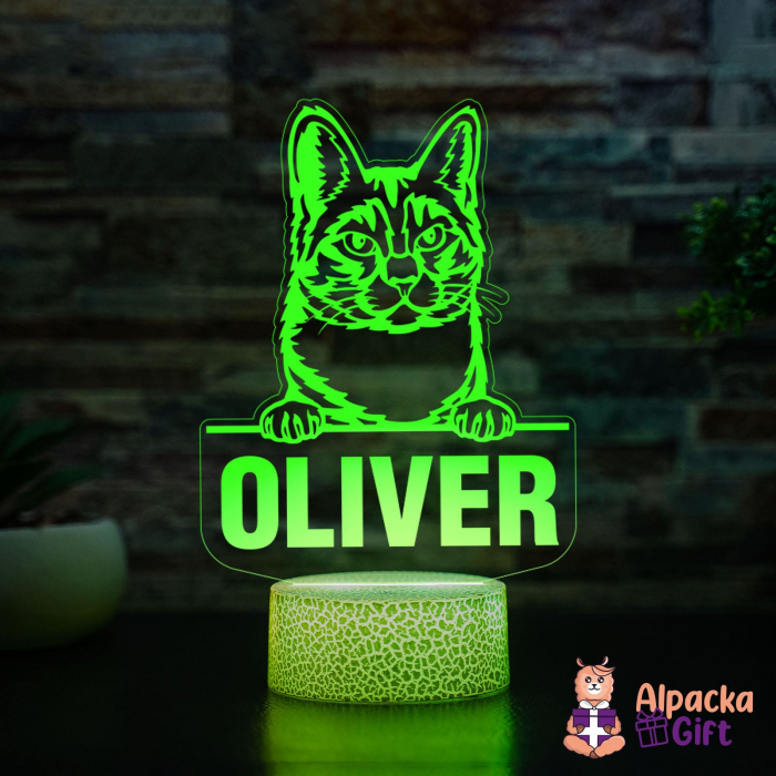 Lampă 3D Manx [5]
