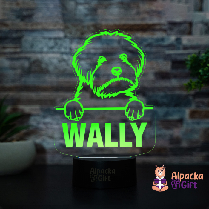 Lampă 3D - Maltipoo [2]