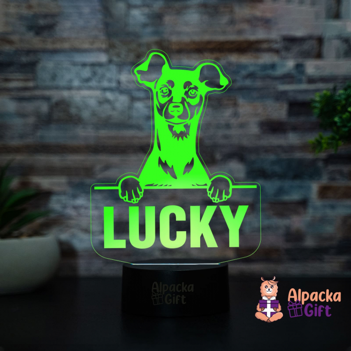 Lampă 3D - Miniature Pinscher [4]