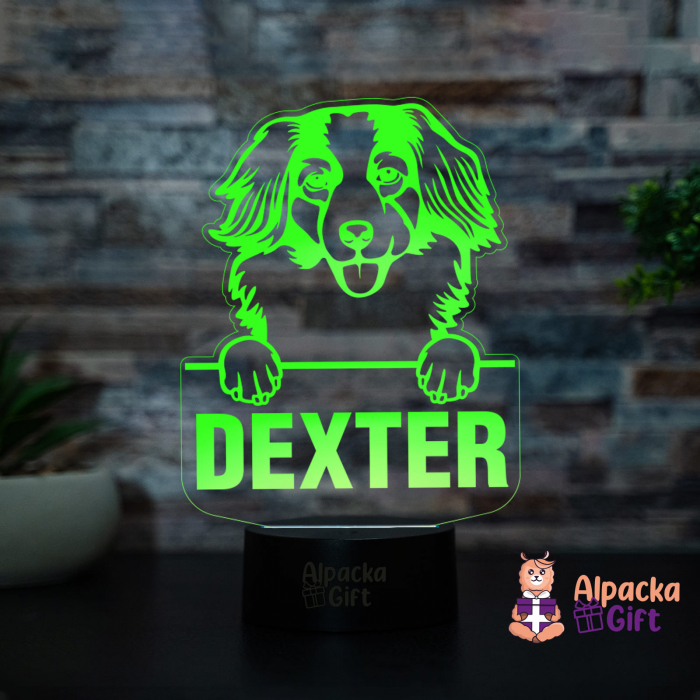 Lampă 3D - Nederlandse Kooikerhondjes [2]