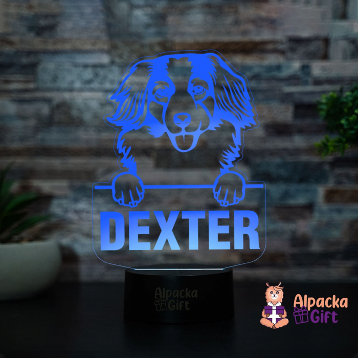 Lampă 3D - Nederlandse Kooikerhondjes [4]