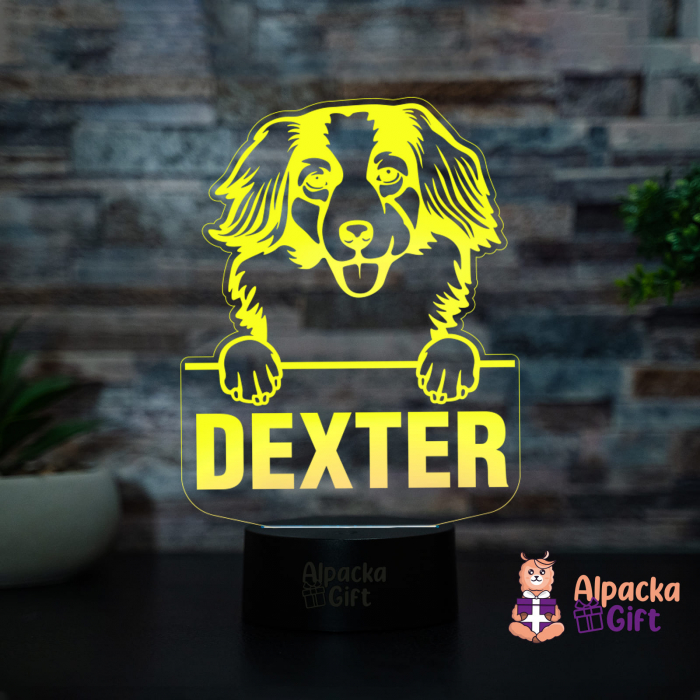 Lampă 3D - Nederlandse Kooikerhondjes [3]