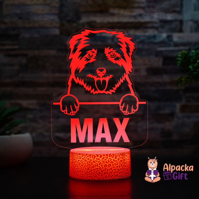 Lampă 3D - Norfolk Terrier [2]