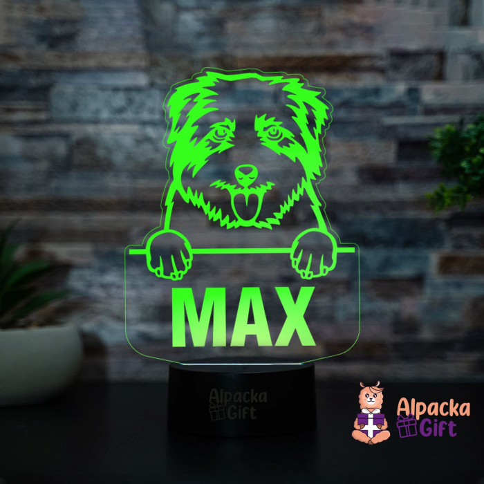 Lampă 3D - Norfolk Terrier [3]