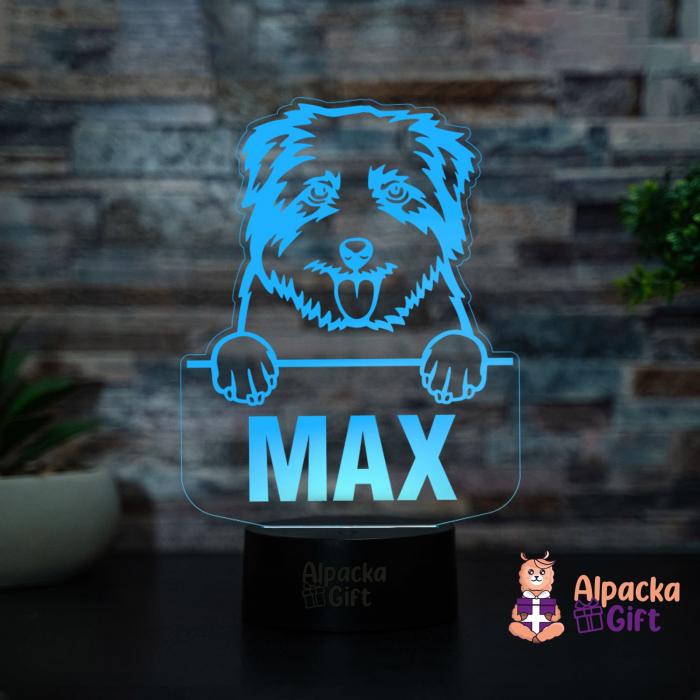 Lampă 3D - Norfolk Terrier [4]