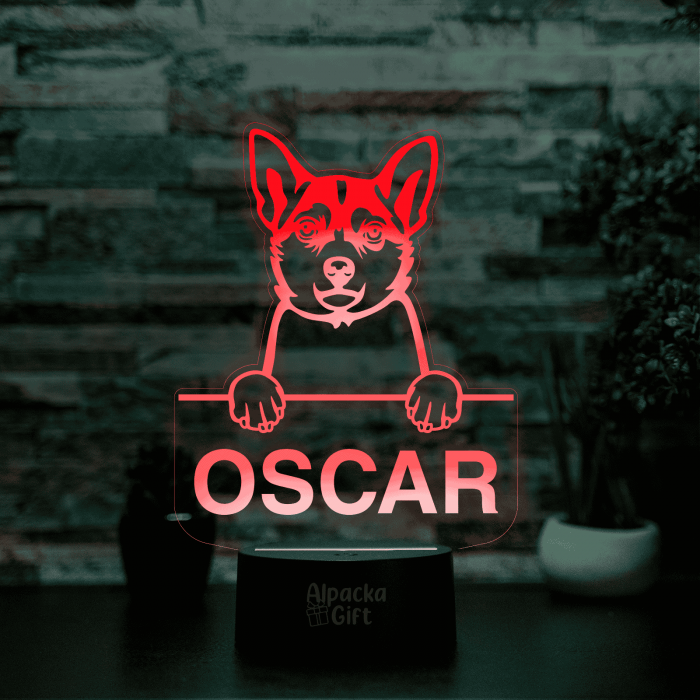 Lampă 3D - Norwegian Lundehund [4]