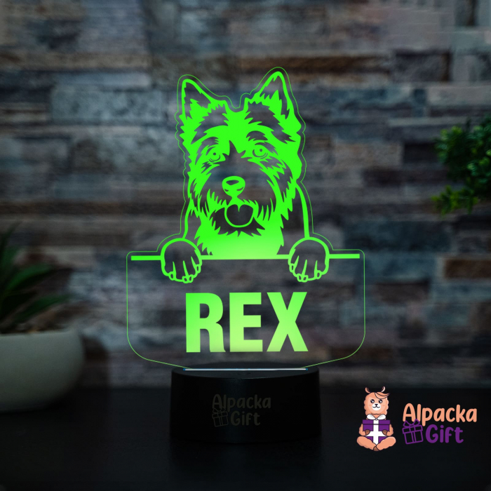 Lampă 3D - Norwich Terrier [3]