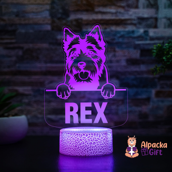 Lampă 3D - Norwich Terrier [3]