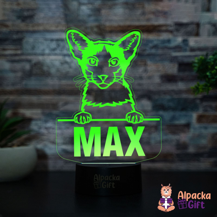 Lampă 3D - Oriental Bicolor [3]