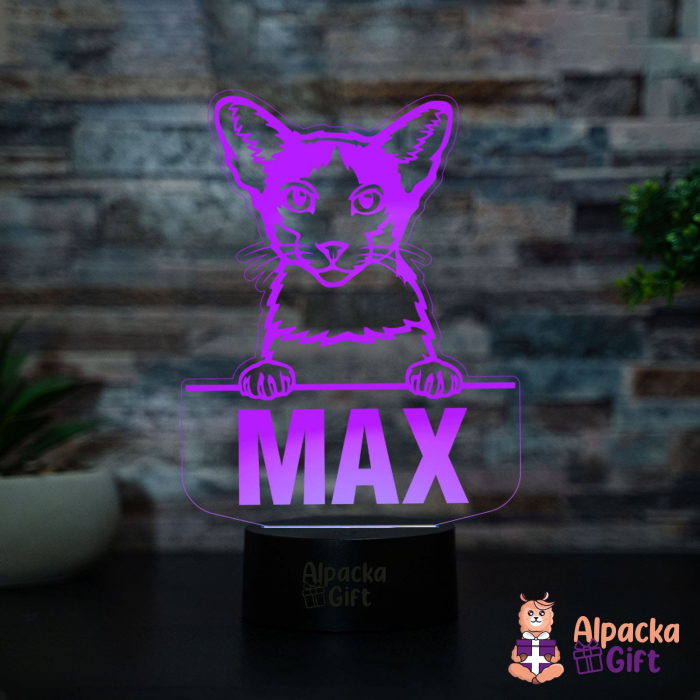 Lampă 3D - Oriental Bicolor [2]