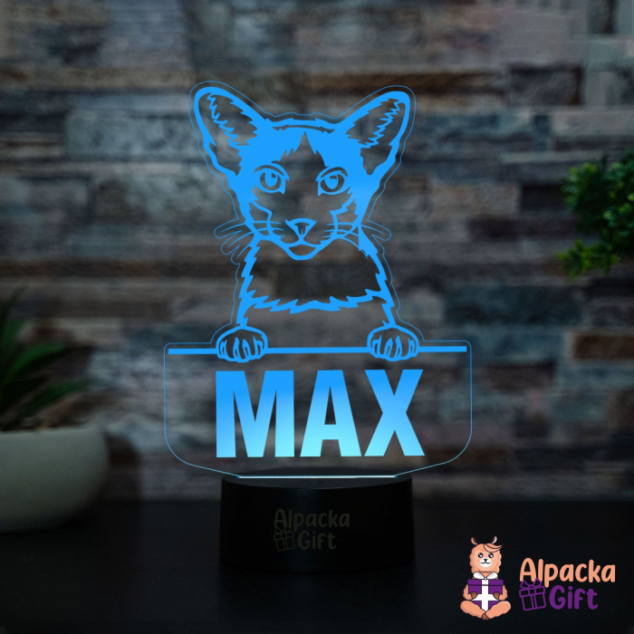 Lampă 3D - Oriental Bicolor [4]