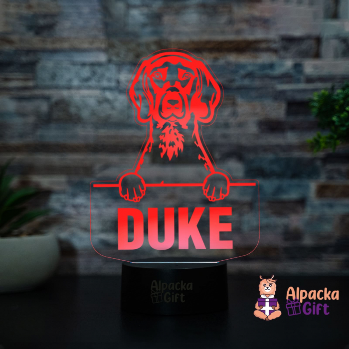 Lampă 3D - Pointer [2]