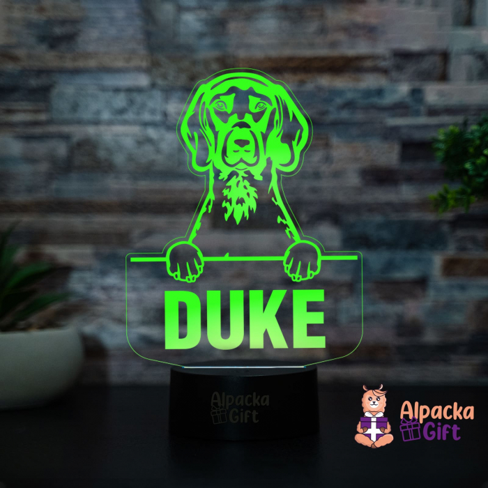 Lampă 3D - Pointer [4]