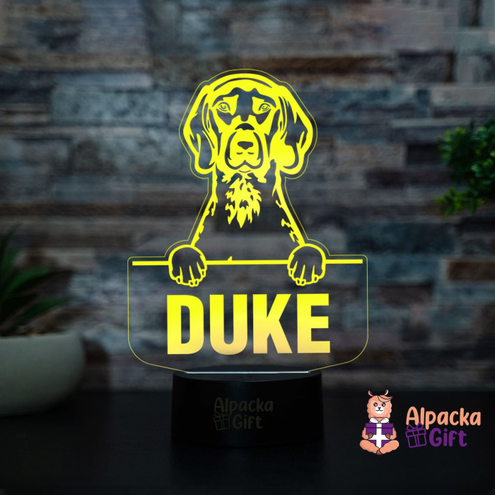 Lampă 3D - Pointer [3]