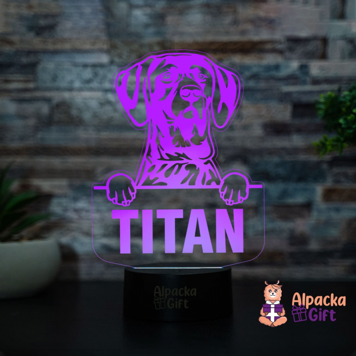 Lampă 3D - Pointer German Shorthaired [3]