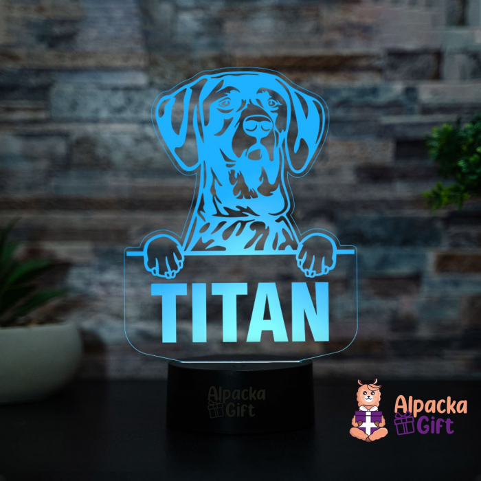 Lampă 3D - Pointer German Shorthaired [2]