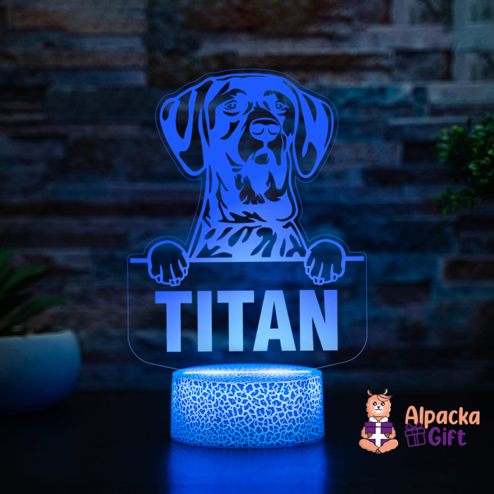 Lampă 3D - Pointer German Shorthaired [2]