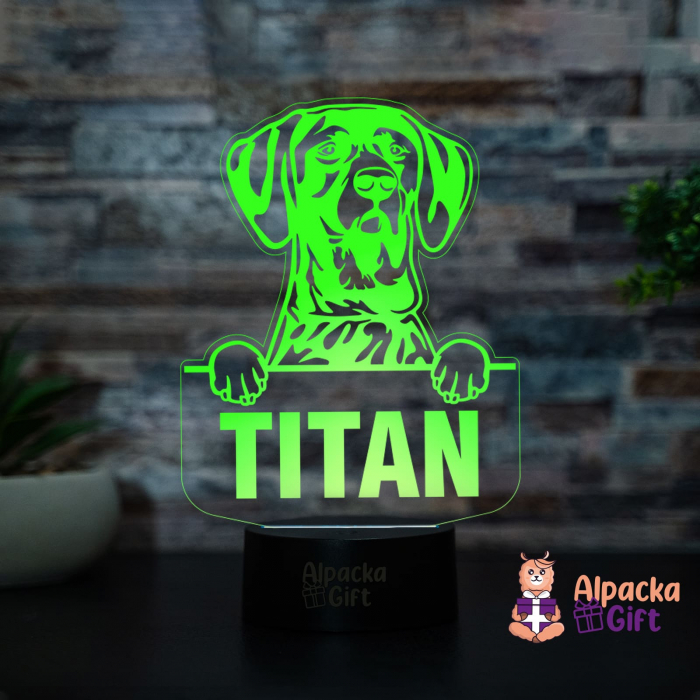 Lampă 3D - Pointer German Shorthaired [4]