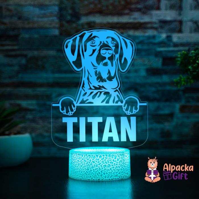 Lampă 3D - Pointer German Shorthaired [5]