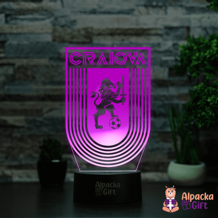 Lampă 3D - Universitatea Craiova [5]