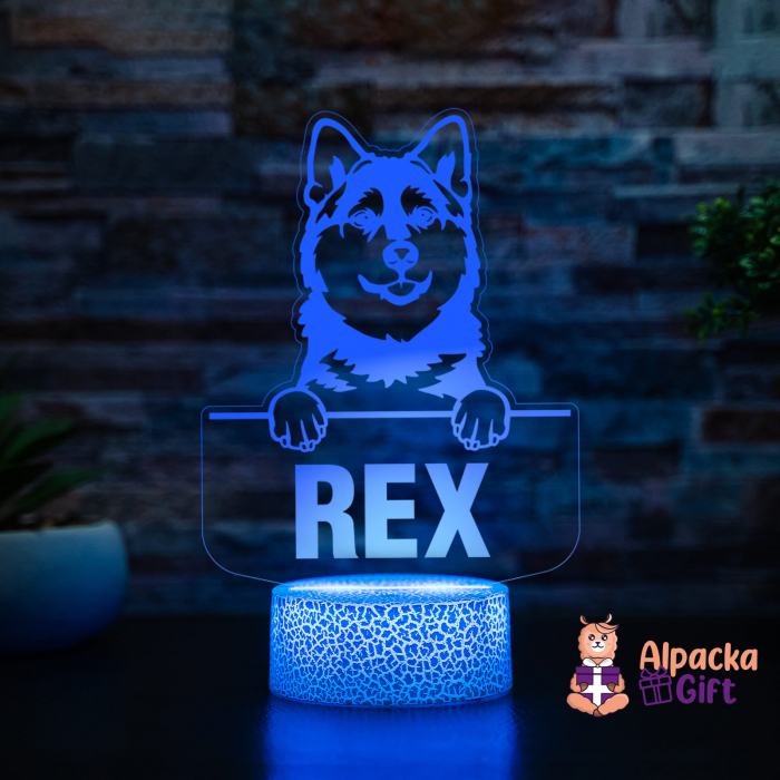 Lampă 3D Pomsky [2]