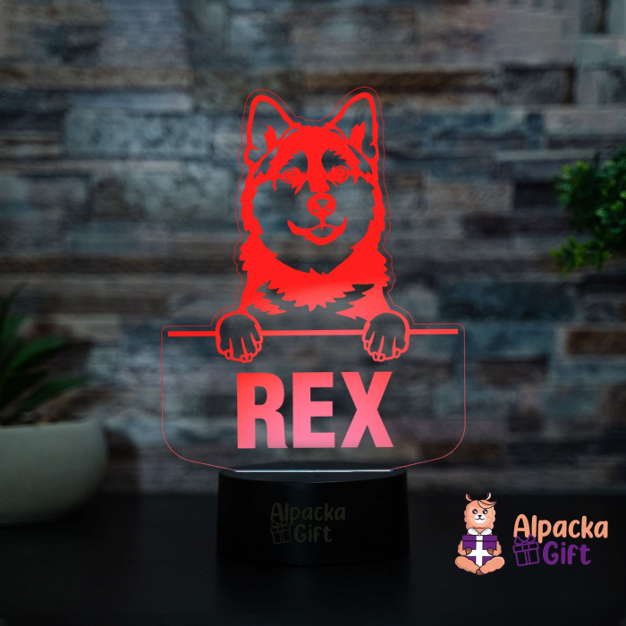 Lampă 3D Pomsky [2]