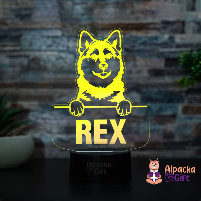 Lampă 3D Pomsky [3]