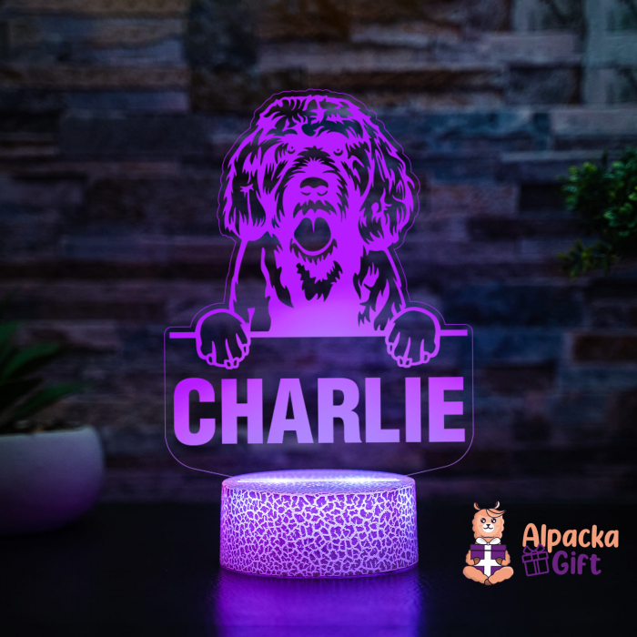 Lampă 3D - Caine de Apa Portughez (Portuguese Water Dog) [3]