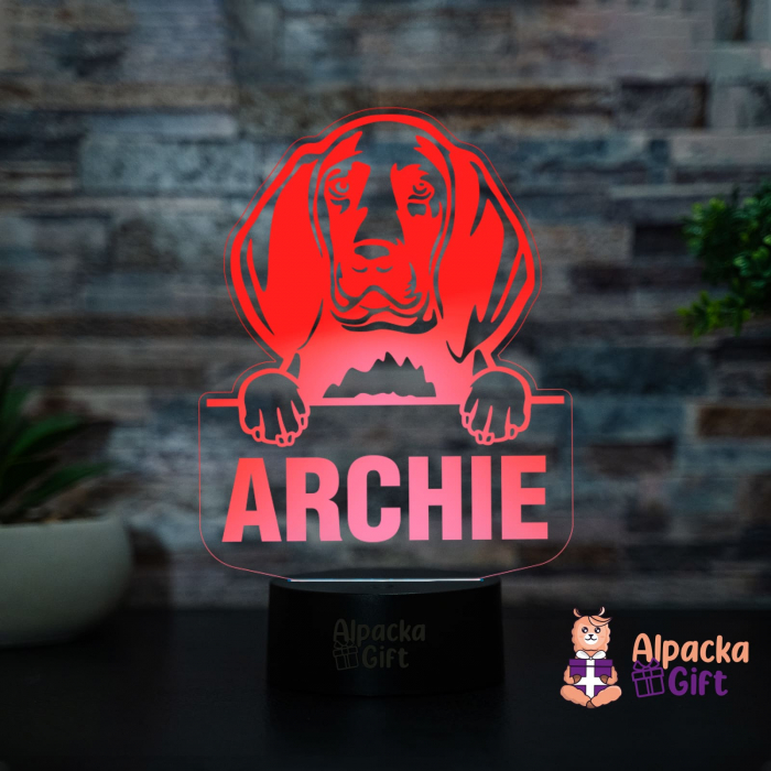 Lampă 3D - Redbone Coonhound [2]