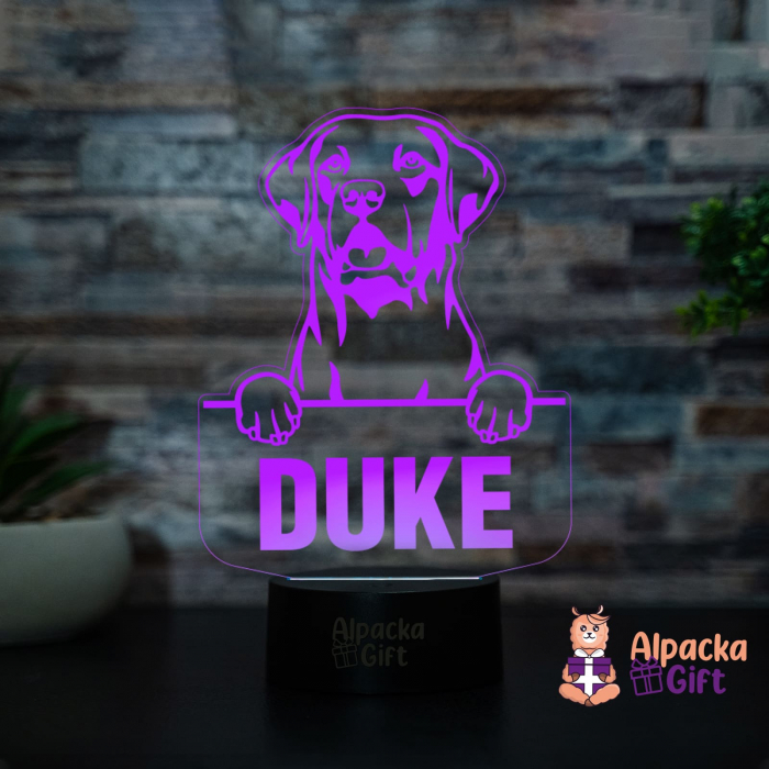 Lampă 3D - Retriever (Chesapeake Bay) [4]