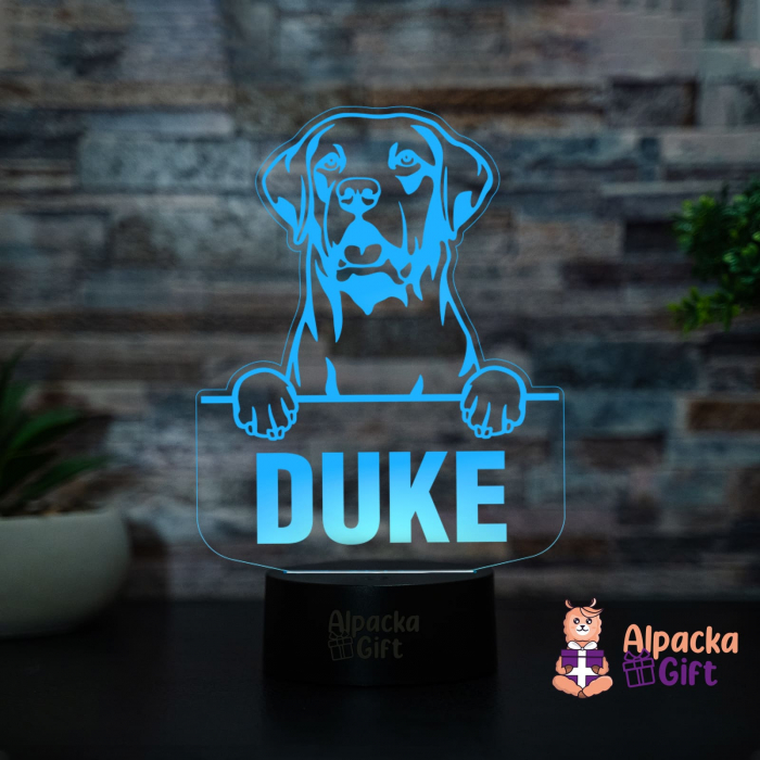 Lampă 3D - Retriever (Chesapeake Bay) [2]