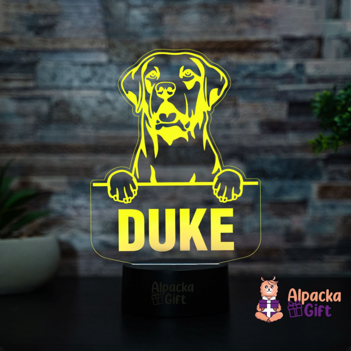 Lampă 3D - Retriever (Chesapeake Bay) [3]