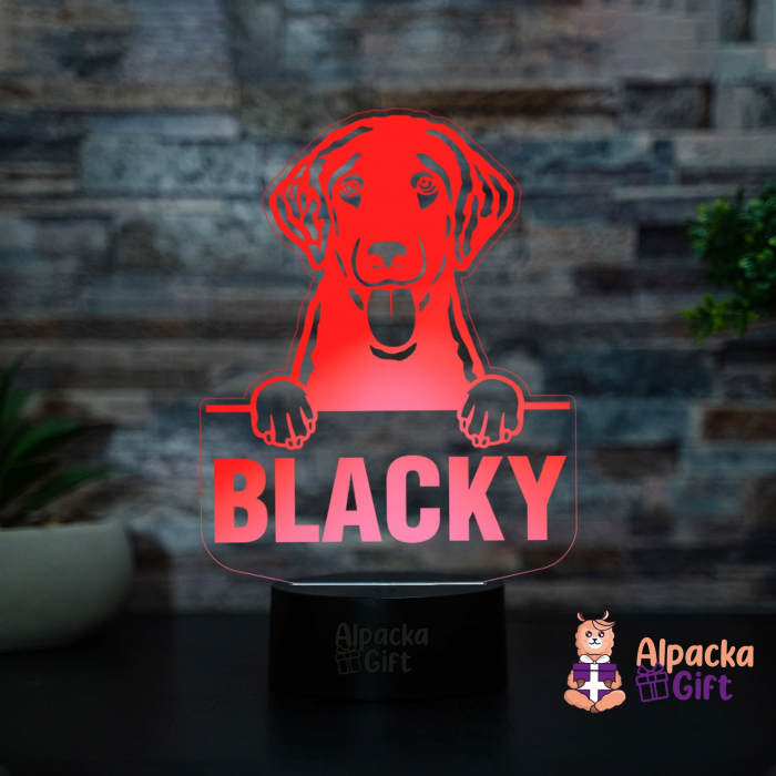 Lampă 3D - Retriever (Curly-Coated) [3]