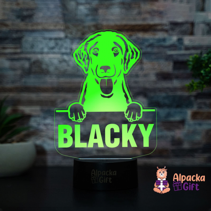 Lampă 3D - Retriever (Curly-Coated) [4]