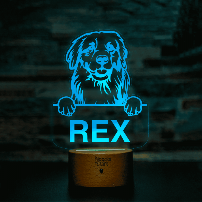 Lampă 3D - Retriever Golden [2]