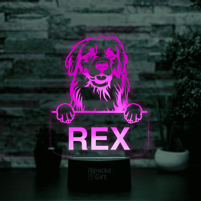 Lampă 3D - Retriever Golden [12]