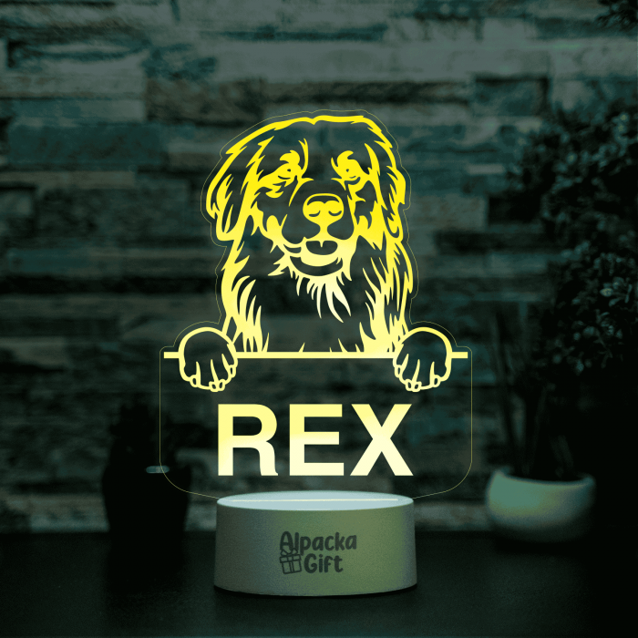 Lampă 3D - Retriever Golden [5]