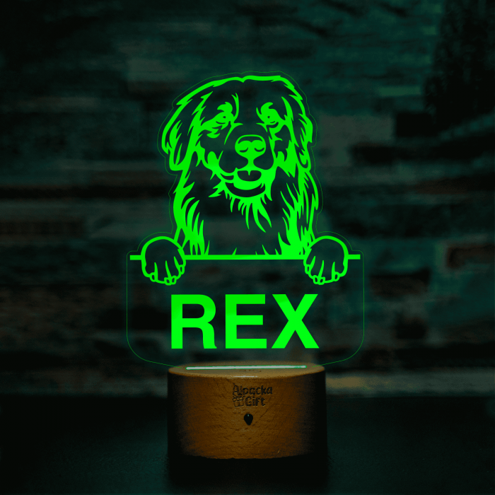 Lampă 3D - Retriever Golden [18]