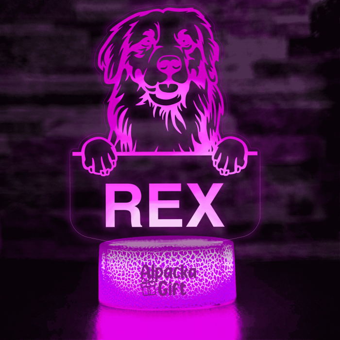 Lampă 3D - Retriever Golden [4]