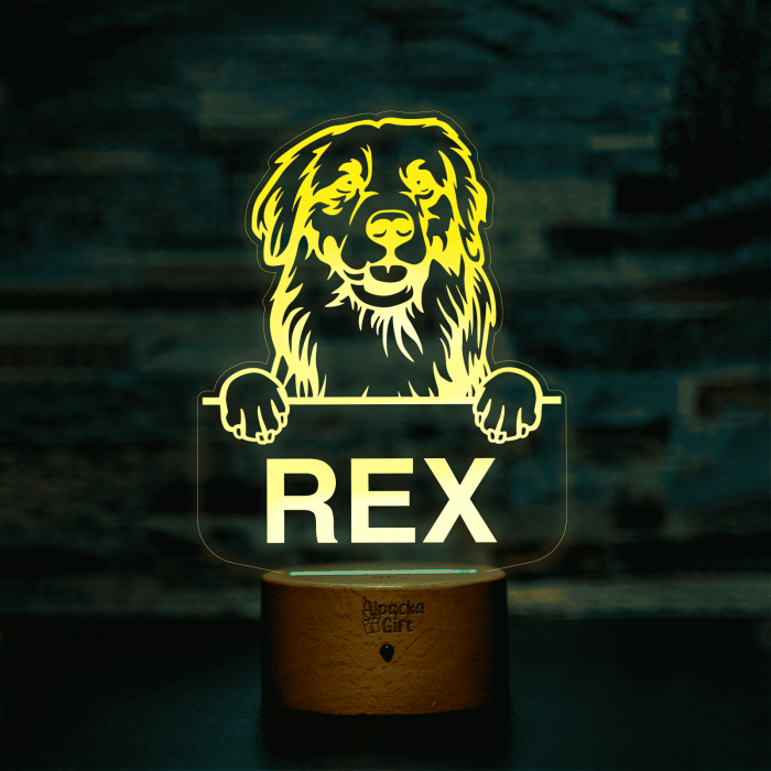 Lampă 3D - Retriever Golden [6]