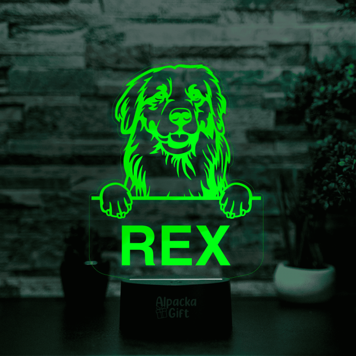 Lampă 3D - Retriever Golden [20]