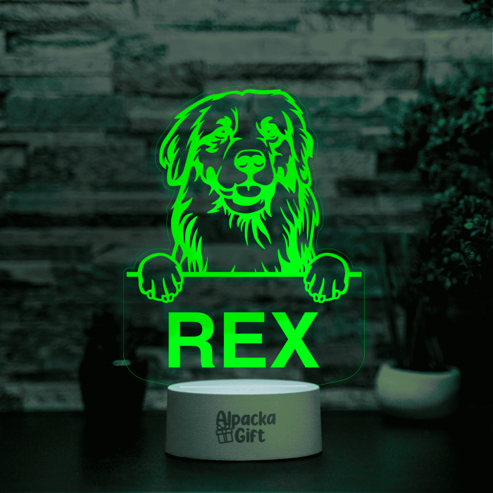 Lampă 3D - Retriever Golden [17]