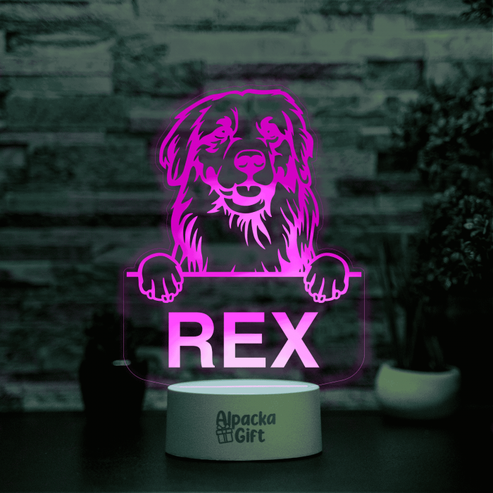 Lampă 3D - Retriever Golden [9]