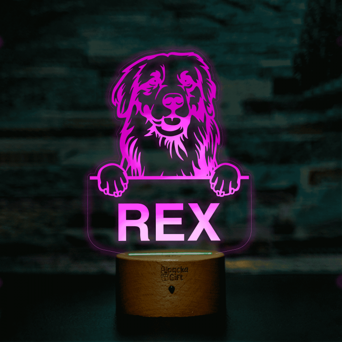 Lampă 3D - Retriever Golden [10]