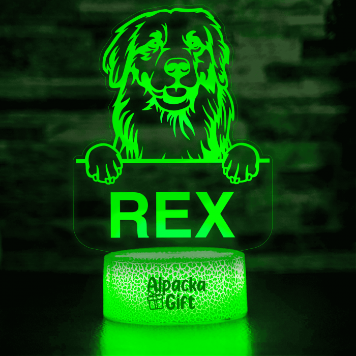 Lampă 3D - Retriever Golden [5]