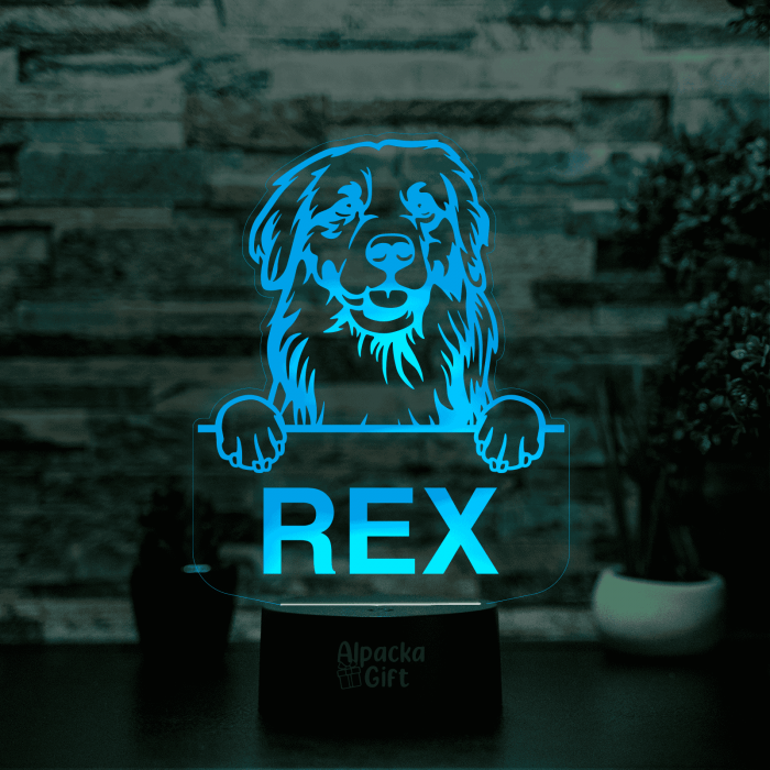 Lampă 3D - Retriever Golden [4]