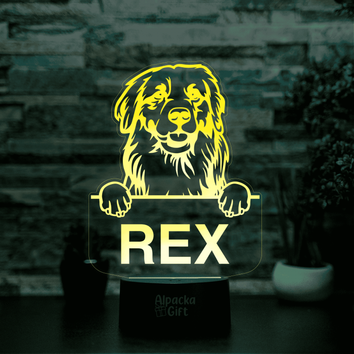 Lampă 3D - Retriever Golden [8]